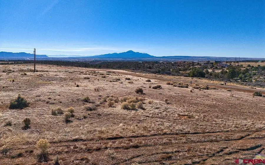 Lot 3 Road 25, Dolores, CO 81323 - #3