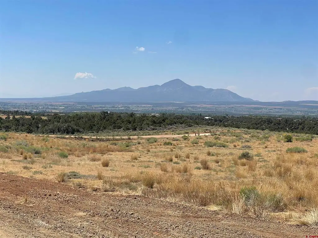 Lot 9 Road 25, Dolores, CO 81323 - #1