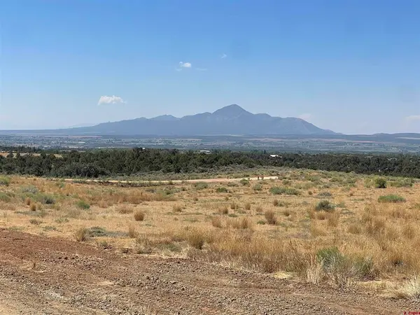 Lot 9 Road 25, Dolores, CO 81323