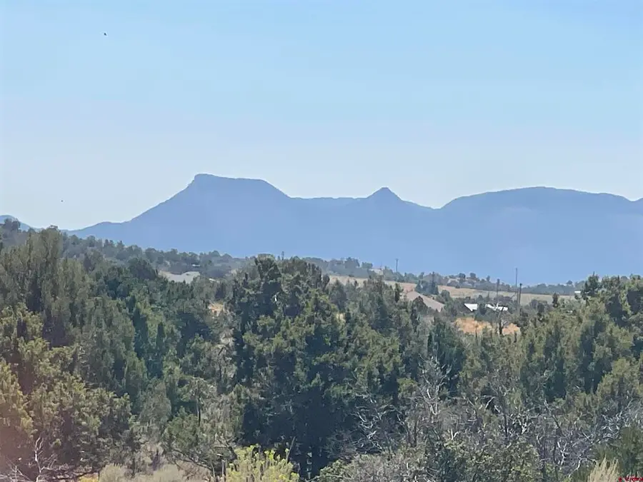 Lot 5 Road 25, Dolores, CO 81323 - #2