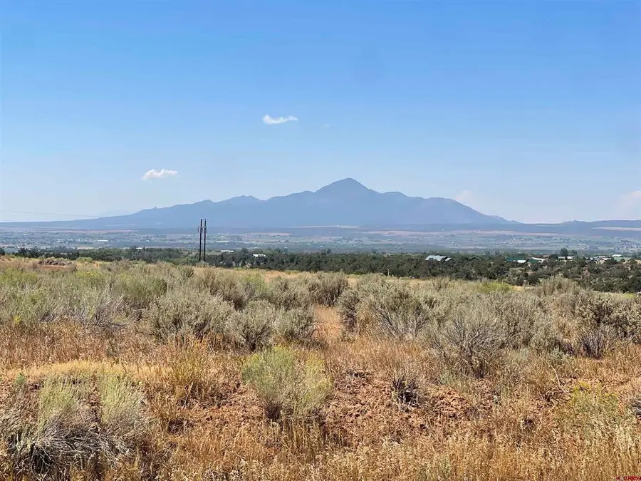 Lot 5 Road 25, Dolores, CO 81323 - #3