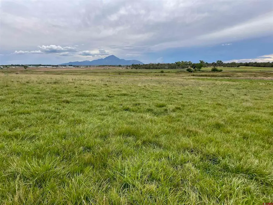 23690 Road P, Cortez, CO 81321 - #2