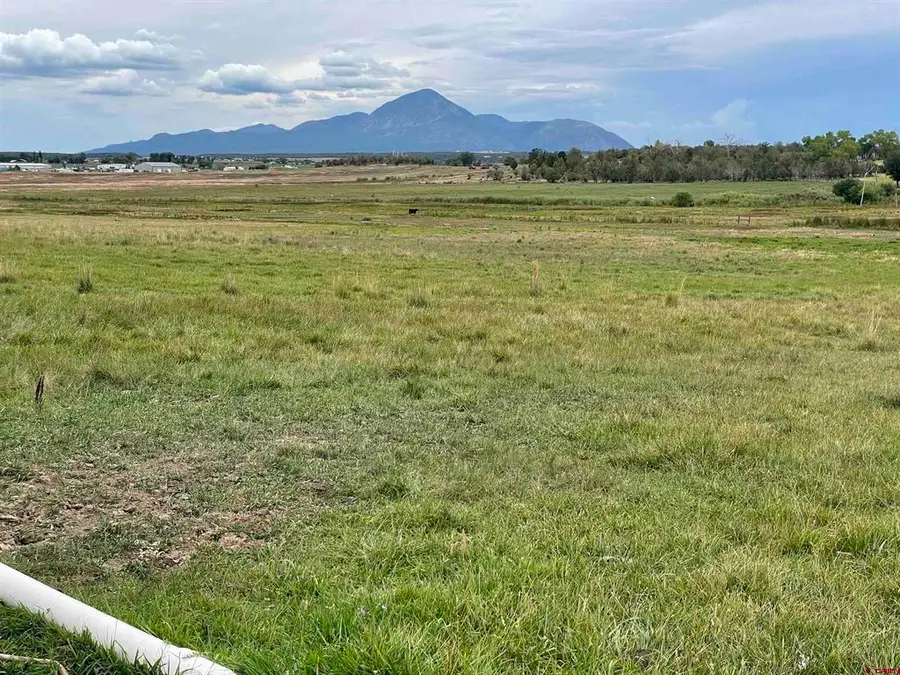 23690 Road P, Cortez, CO 81321 - #3