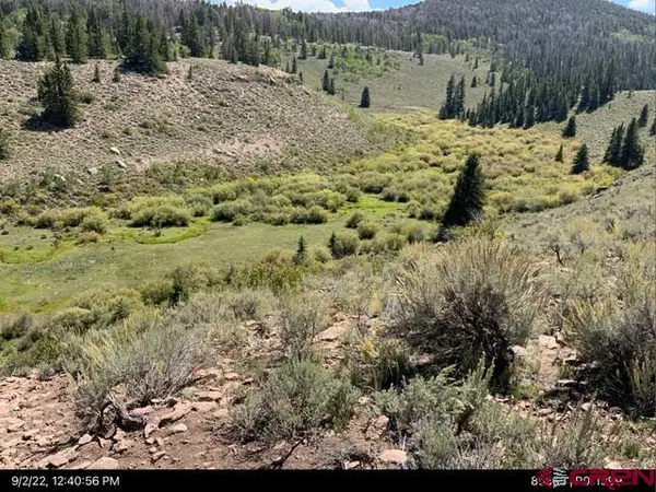 TBD Sandy Road, Powderhorn, CO 81230