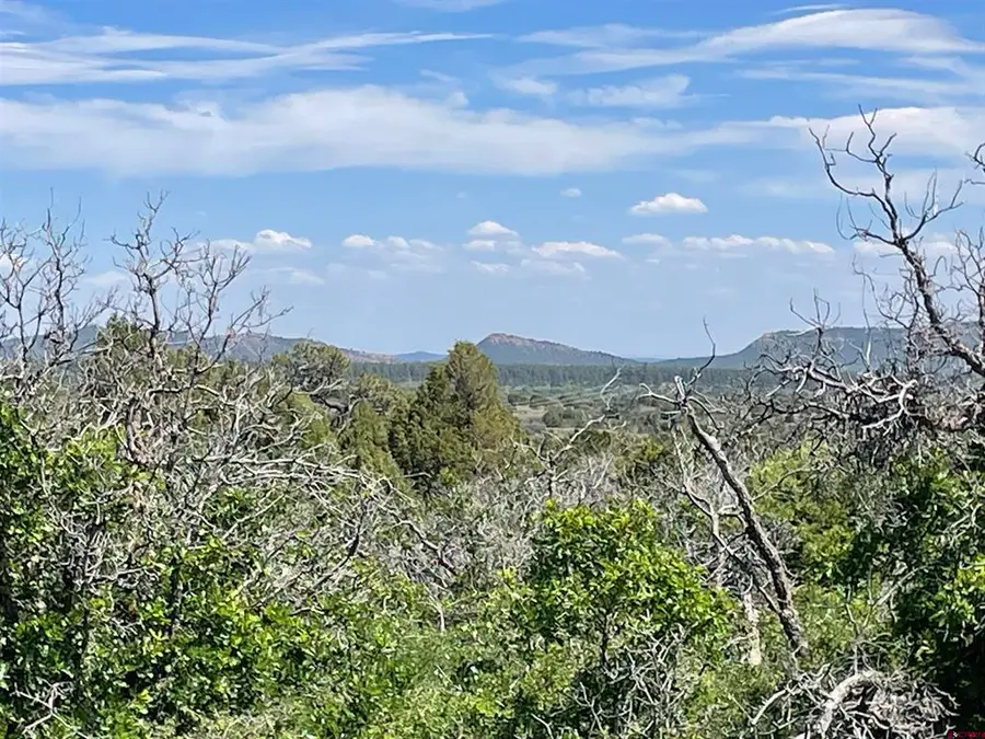 902 Roberts Ridge, Hesperus, CO 81326 - #3