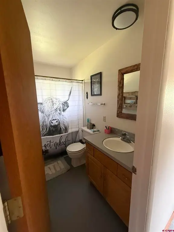 28 Columbine Trail, Cimarron, CO 81220 - #3