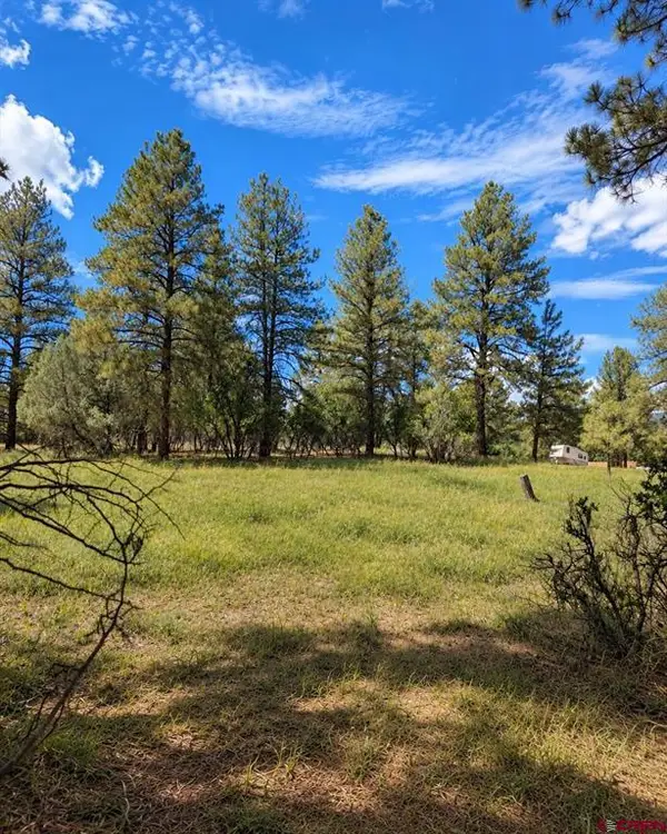 730 Nutria Circle, Pagosa Springs, CO 81147