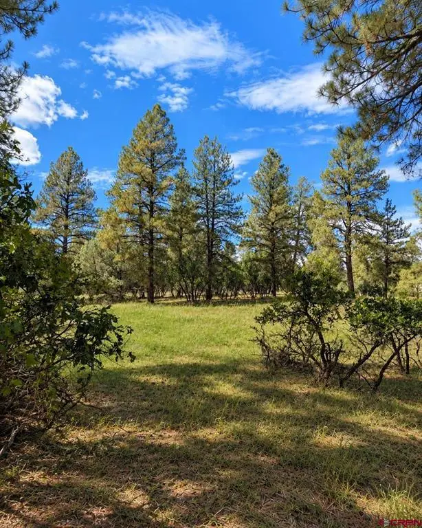 730 Nutria Circle, Pagosa Springs, CO 81147 - #2