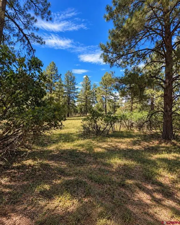 730 Nutria Circle, Pagosa Springs, CO 81147 - #3