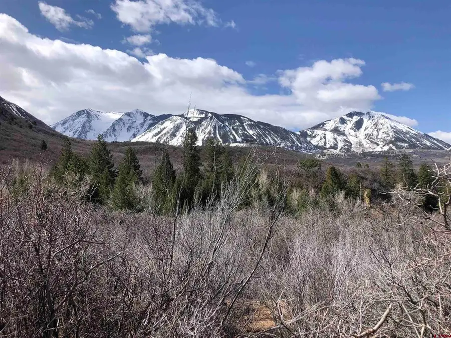 TBD County Road 710, Paonia, CO 81428 - #2
