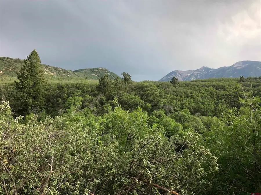 TBD County Road 710, Paonia, CO 81428 - #3