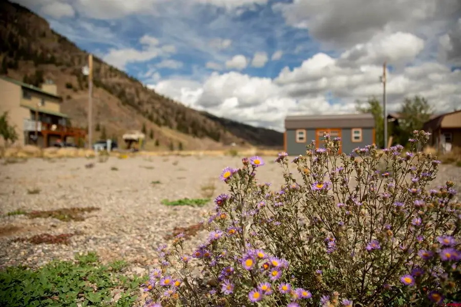 115 Trout Court, Creede, CO 81130 - #3
