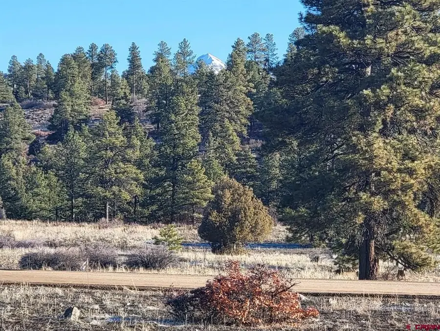 642 Trails Boulevard, Pagosa Springs, CO 81147 - #2