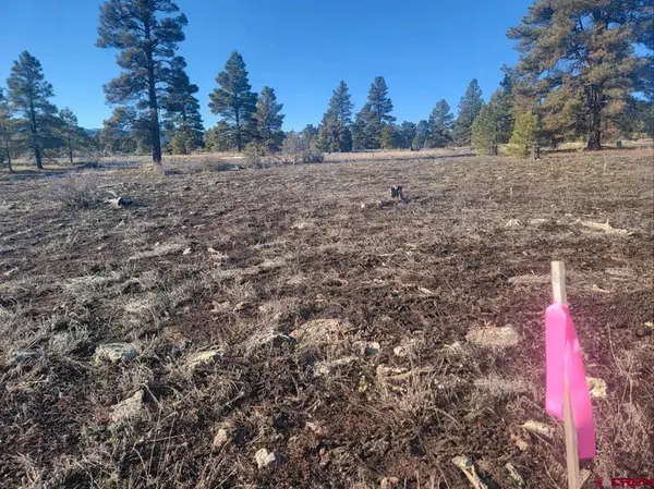 660 Trails Boulevard, Pagosa Springs, CO 81147