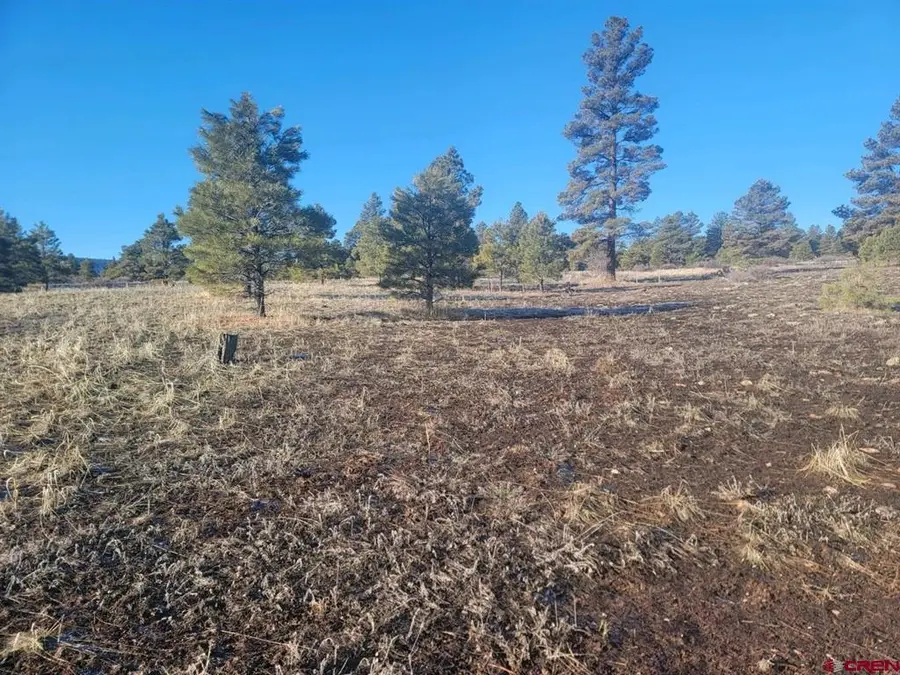 660 Trails Boulevard, Pagosa Springs, CO 81147 - #2