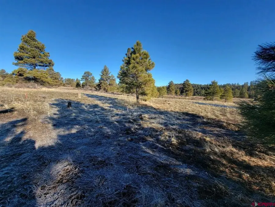 660 Trails Boulevard, Pagosa Springs, CO 81147 - #3