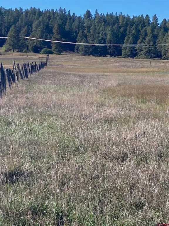 X Us Hwy 84, Pagosa Springs, CO 81147 - #2