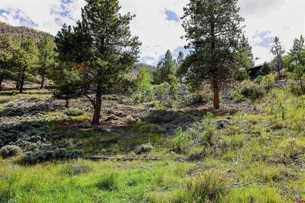 502 Hotchkiss Street, Lake City, CO 81235