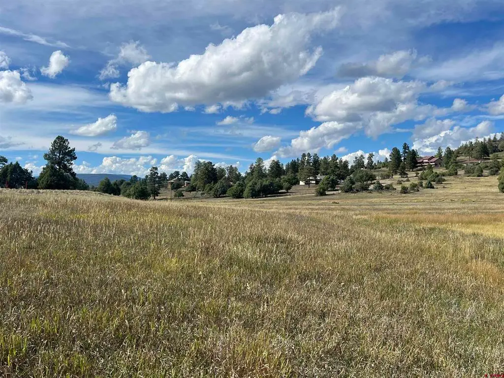 1361 Hersch Avenue, Pagosa Springs, CO 81147 - #1