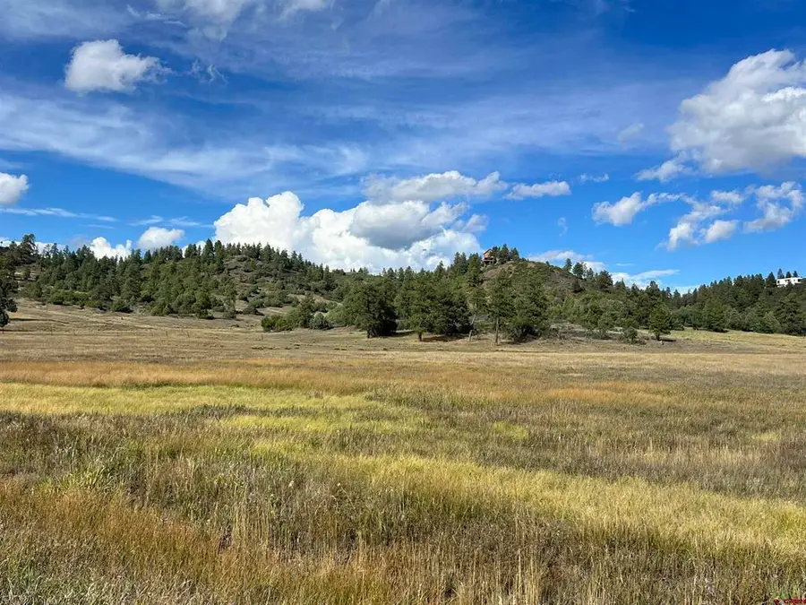 1361 Hersch Avenue, Pagosa Springs, CO 81147 - #2