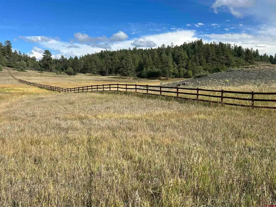 1361 Hersch Avenue, Pagosa Springs, CO 81147 - #3