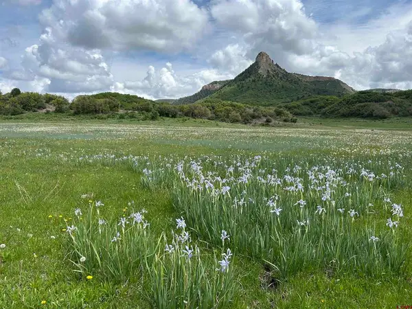 Lot 77 Road 29.8, Cahone, CO 81320