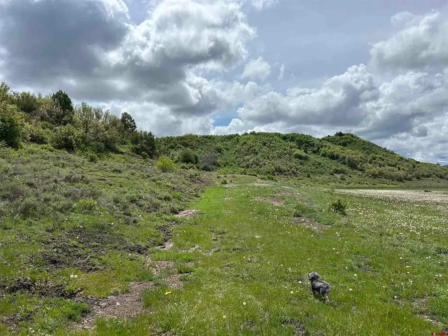 Lot 77 Road 29.8, Cahone, CO 81320 - #2