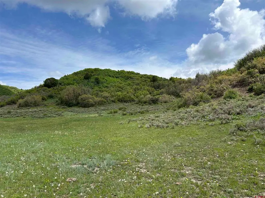 Lot 77 Road 29.8, Cahone, CO 81320 - #3
