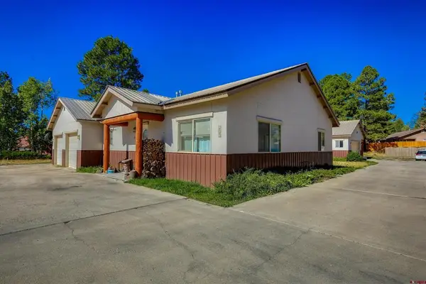 298 Park Ave, Pagosa Springs, CO 81147
