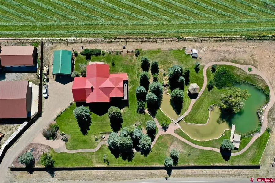 21179 Highway 550, Montrose, CO 81403 - #2