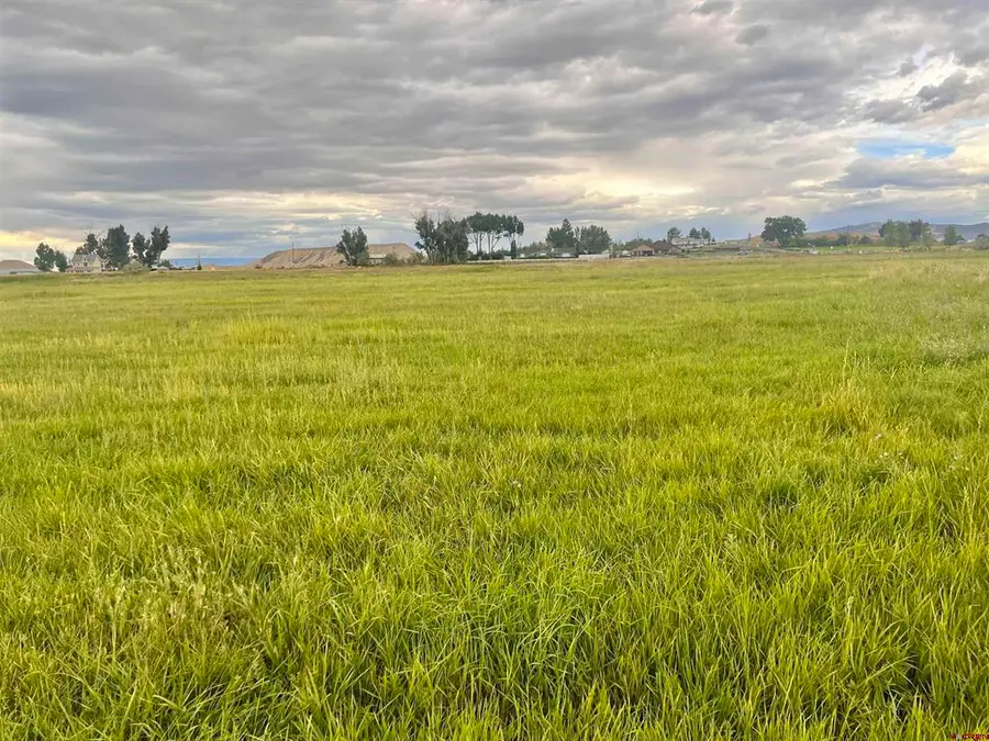 TBD E Higway 50, Montrose, CO 81401 - #3