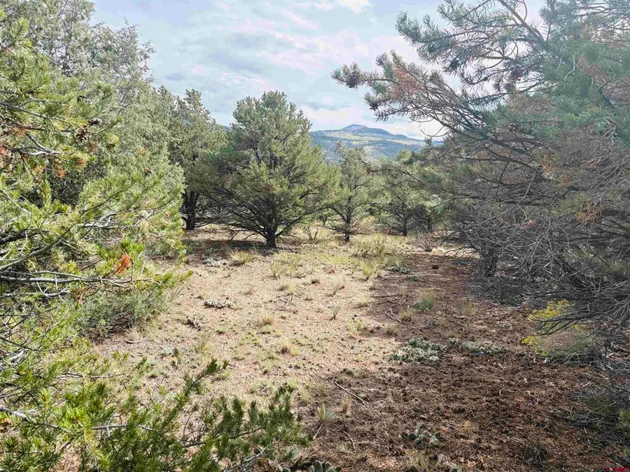 642 Milner Pass, South Fork, CO 81154 - #2