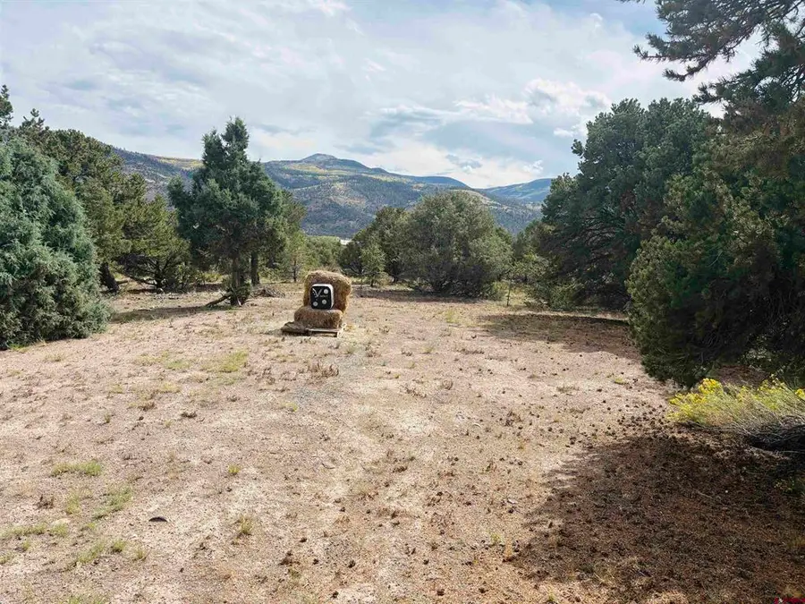 642 Milner Pass, South Fork, CO 81154 - #3