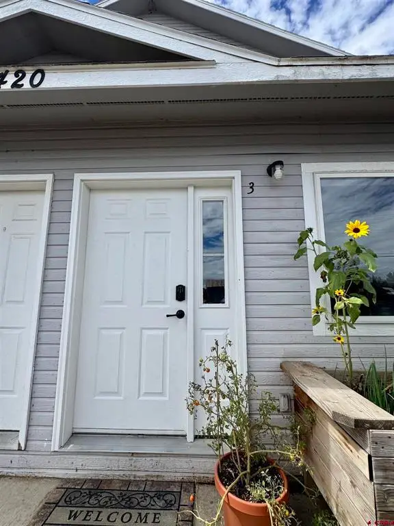 420 S Wisconsin #3, Gunnison, CO 81230 - #2