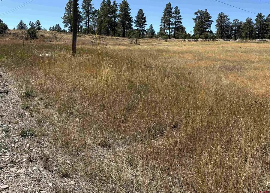 X Rob Snow Road, Pagosa Springs, CO 81147 - #2