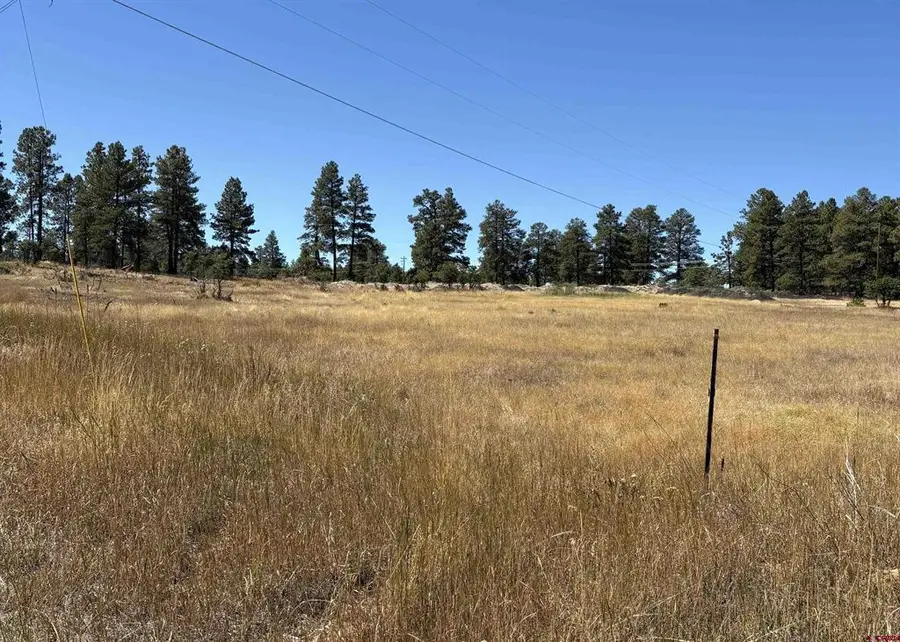 X Rob Snow Road, Pagosa Springs, CO 81147 - #3