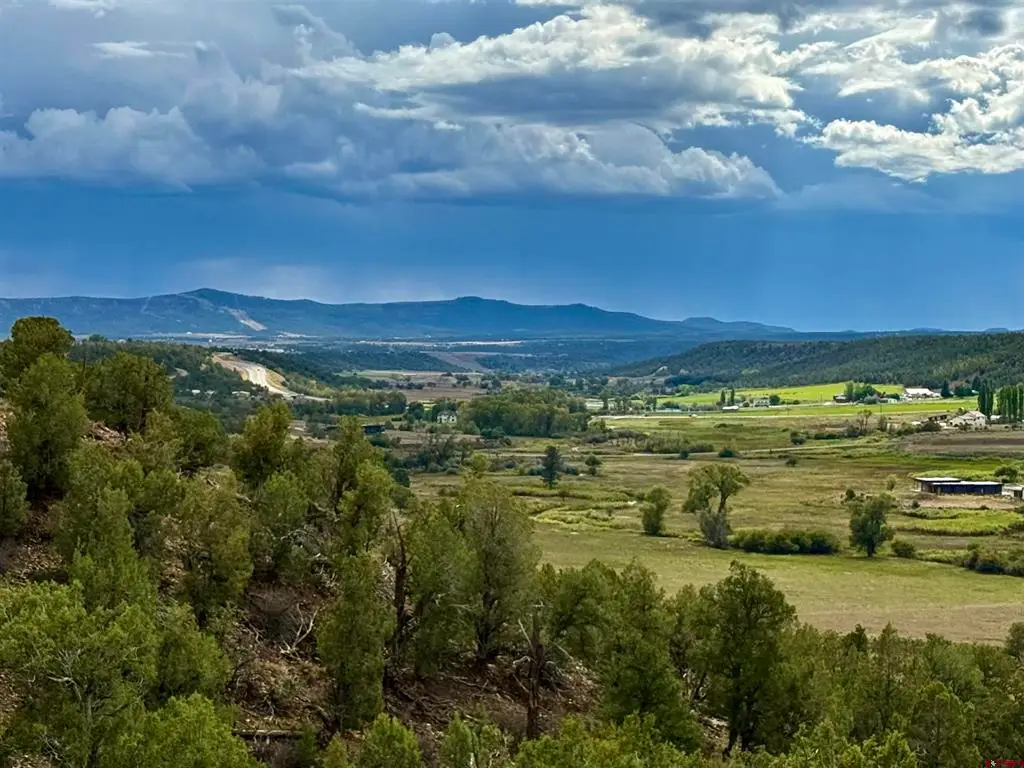 2543 Wrangler Way, Durango, CO 81301 - #1