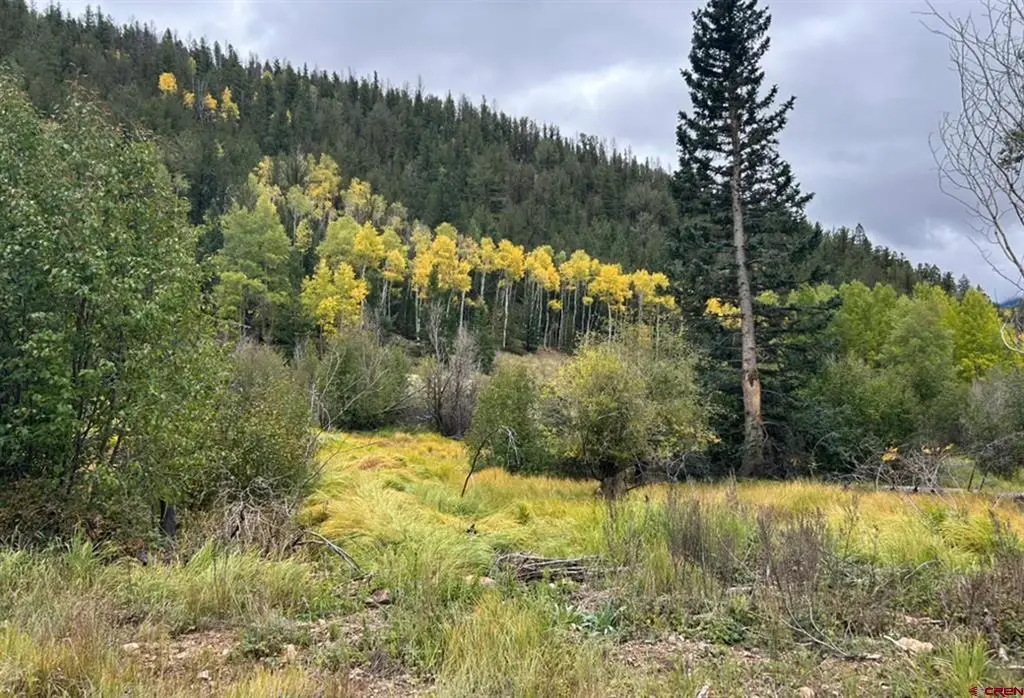 TBD 1st Avenue, Villa Grove, CO 81155 - #1