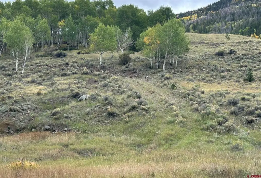 TBD Main Street, Bonanza, CO 81155 - #1