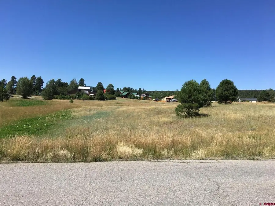 7201 N Pagosa Boulevard, Pagosa Springs, CO 81147 - #2