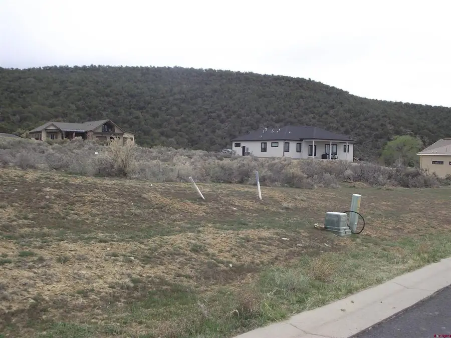 735 SE Pinyon Street, Cedaredge, CO 81413 - #3