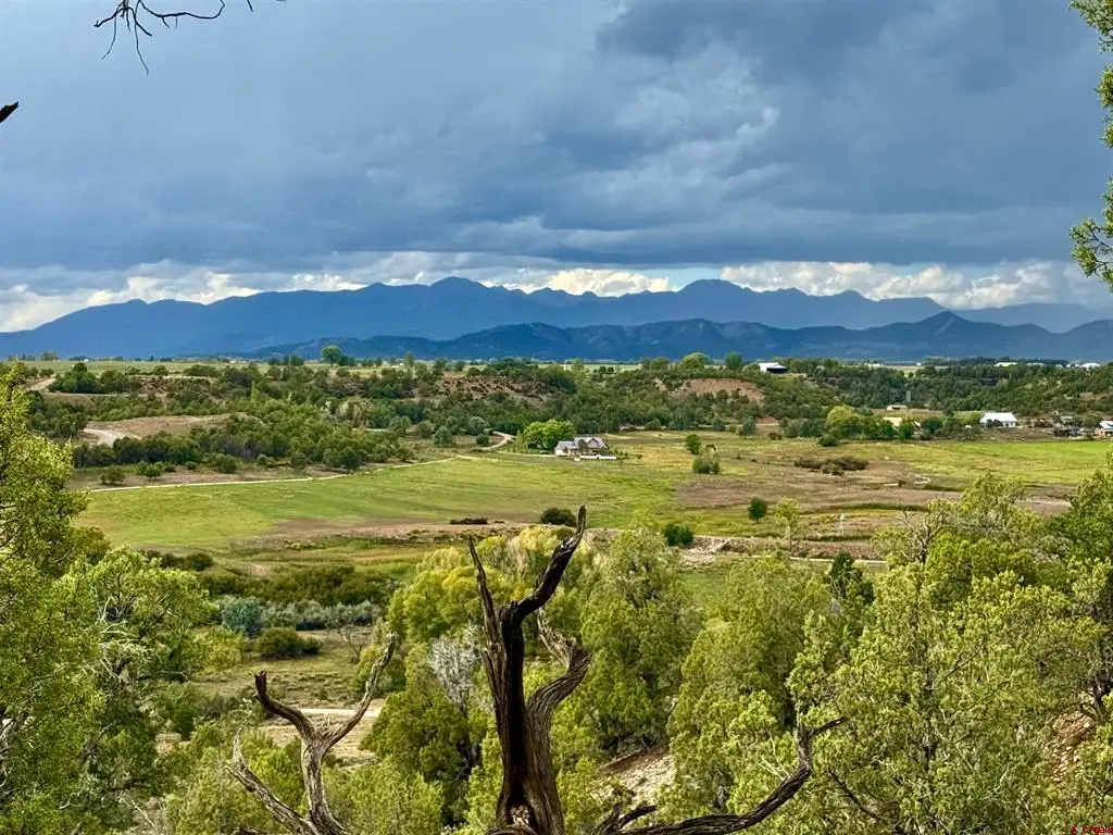 2647 Wrangler Way, Durango, CO 81301 - #1