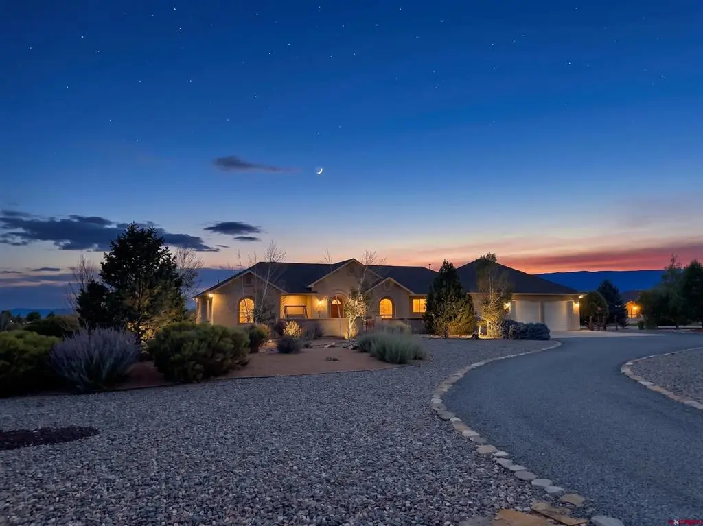 8705 Saddle Ridge Road, Austin, CO 81410 - #1