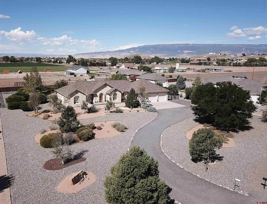 8705 Saddle Ridge Road, Austin, CO 81410 - #2