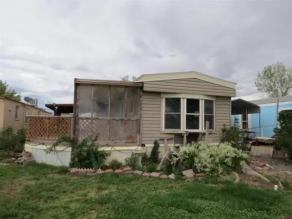 19834 Joy Road, Austin, CO 81410