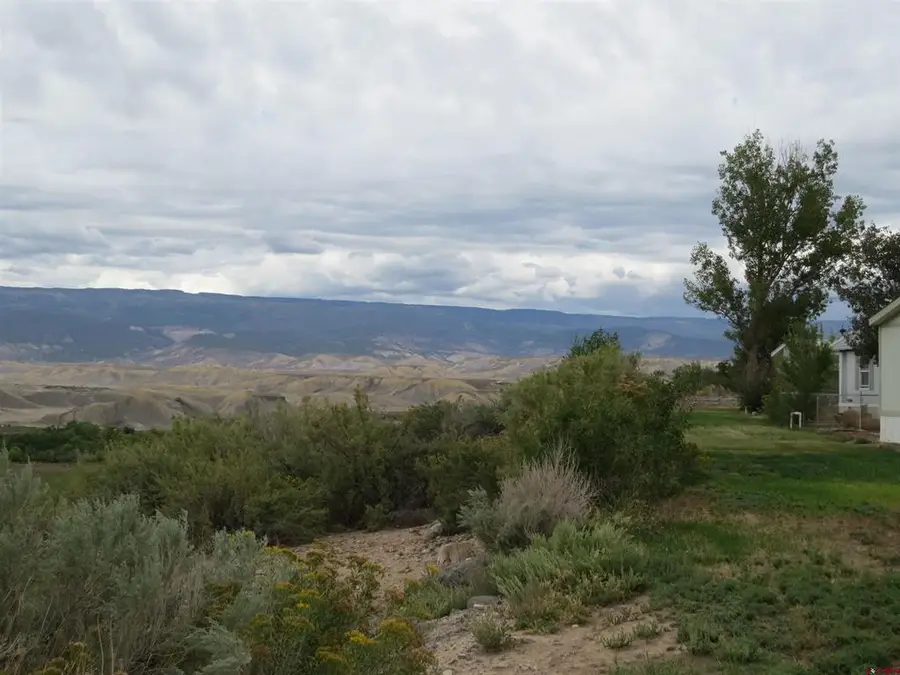 19834 Joy Road, Austin, CO 81410 - #3