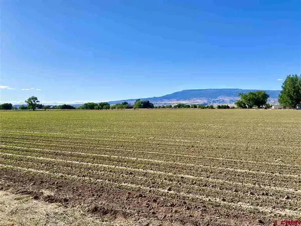TBD 1400 Road, Delta, CO 81416