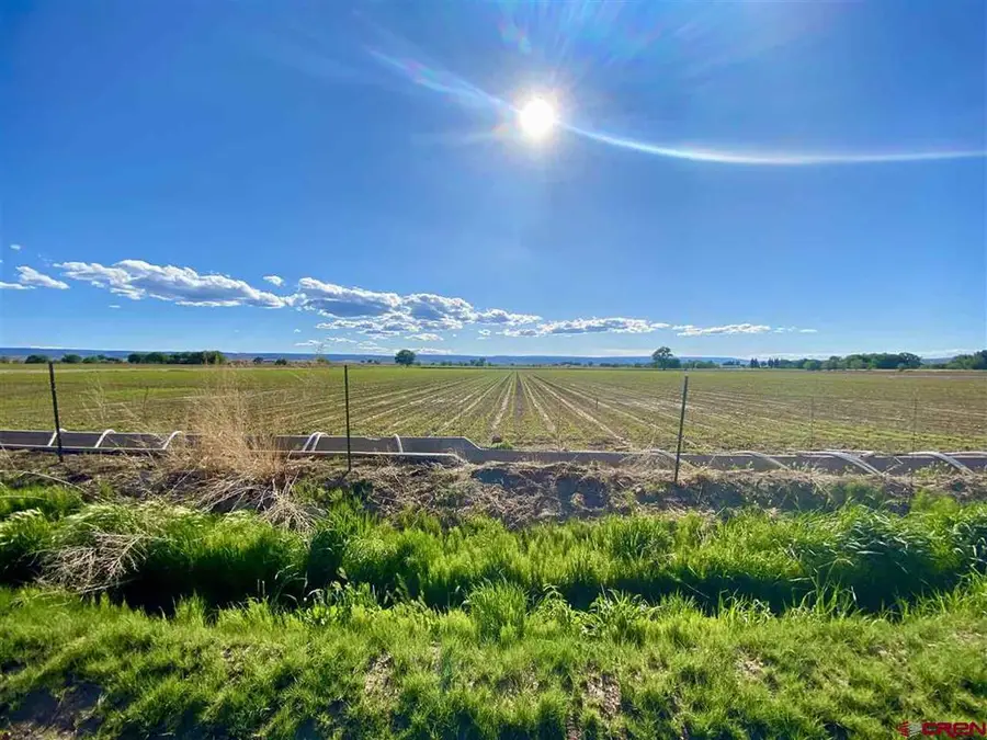 TBD 1400 Road, Delta, CO 81416 - #3
