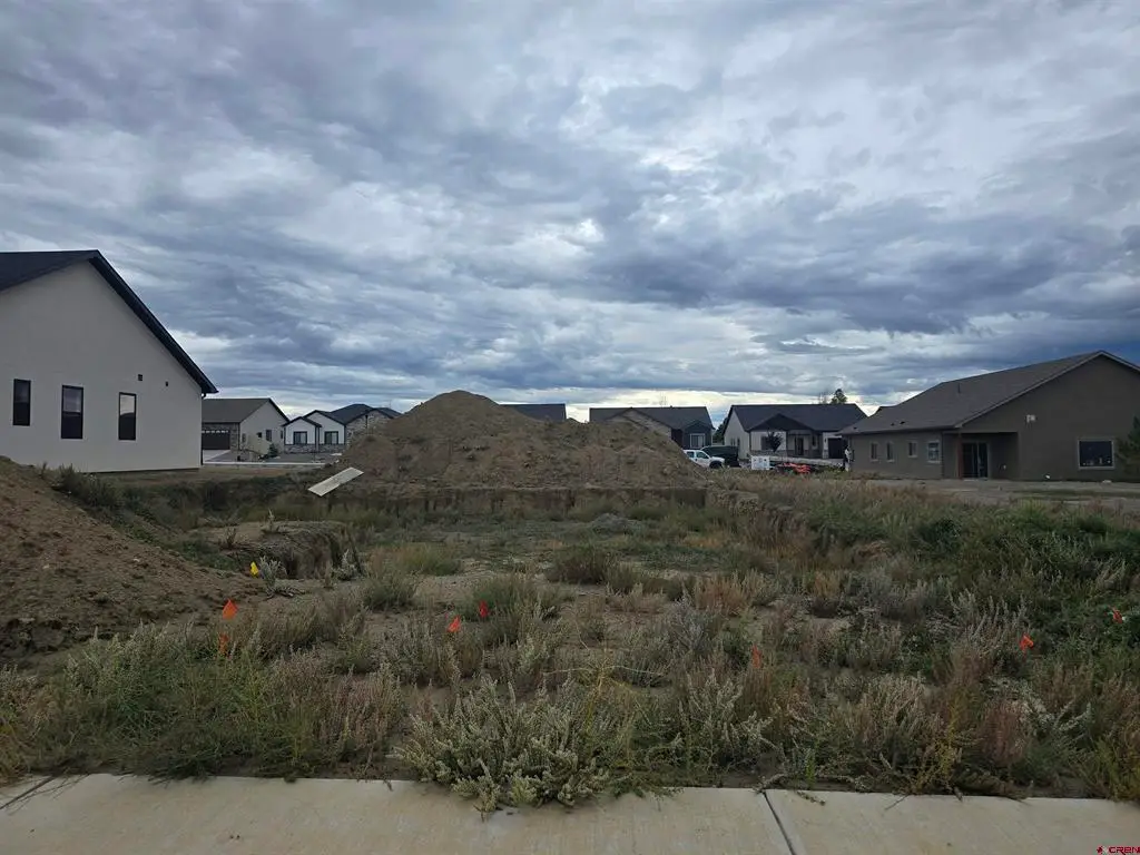 3346 Pineview Street, Montrose, CO 81401 - #1