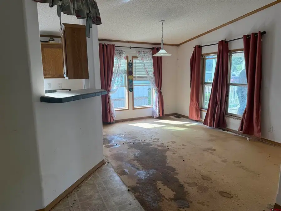 107 E Sunset Drive, Mancos, CO 81328 - #3